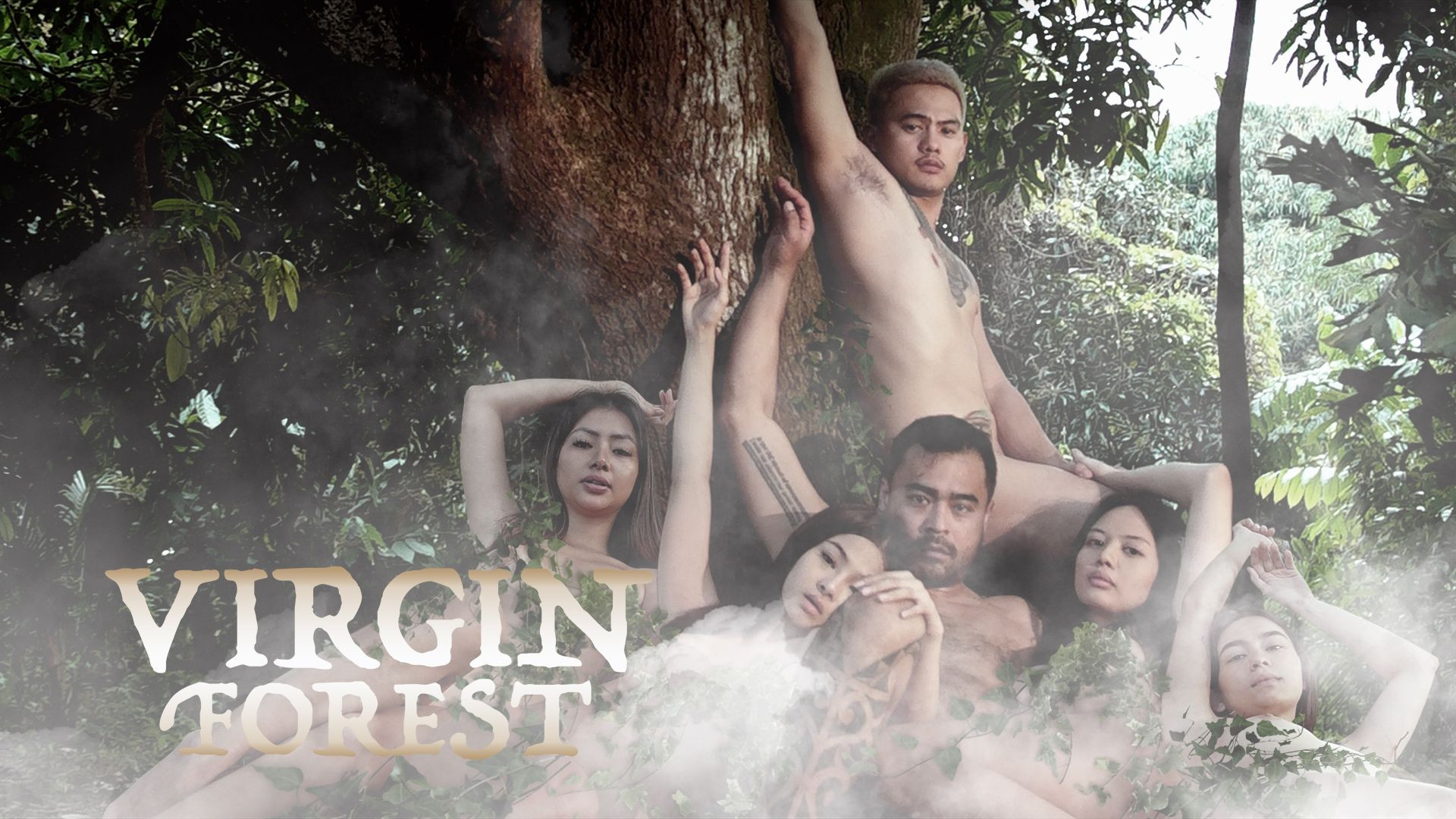 Virgin Forest